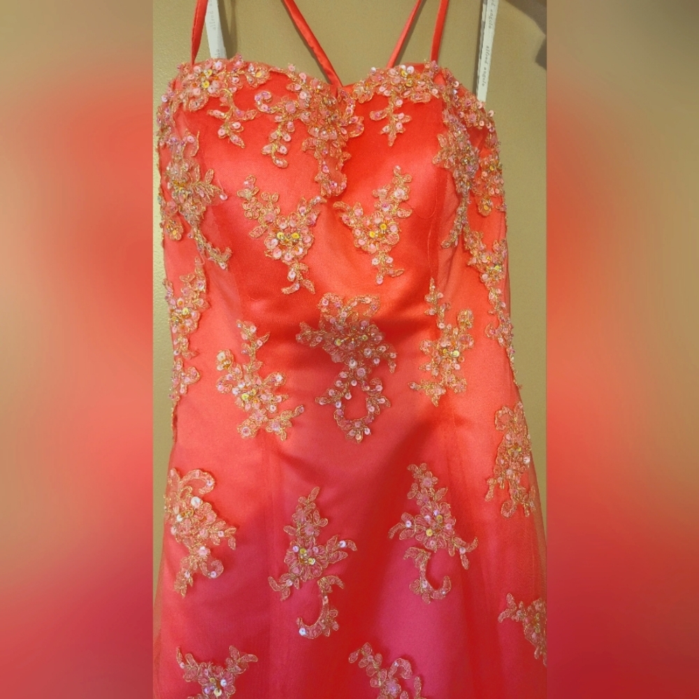 Prom or Homecoming Dress